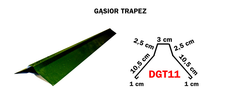 gąsior trapez
